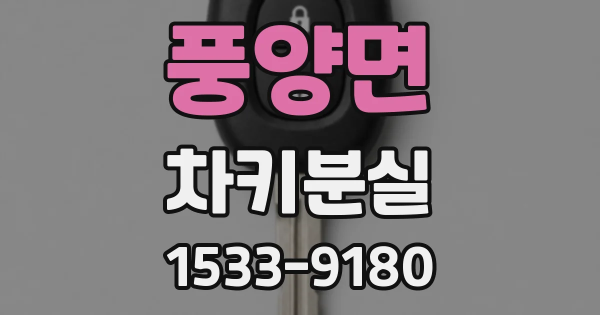 풍양면 차키분실