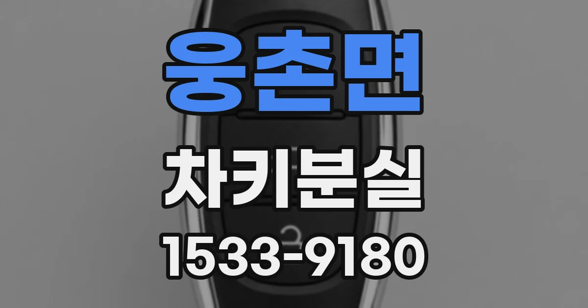 웅촌면 차키분실