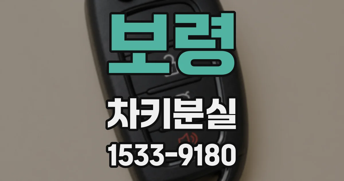 보령 차키분실