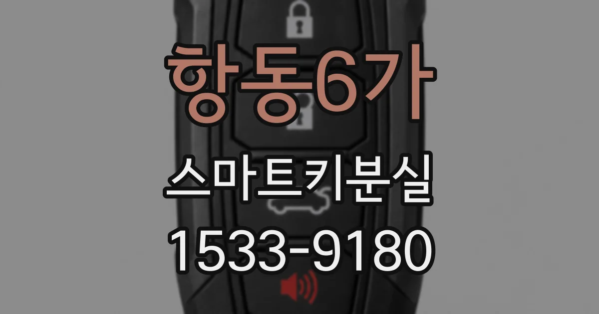 항동6가 스마트키분실