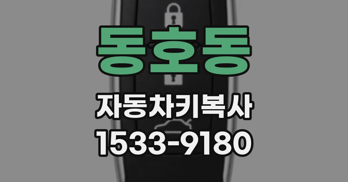동호동 자동차키복사