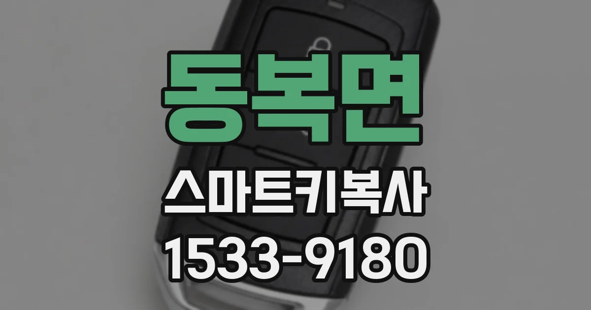 동복면 스마트키복사