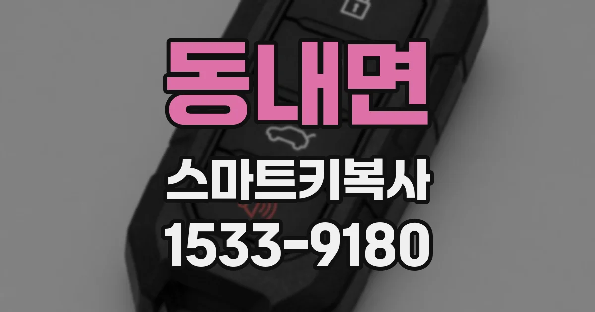 동내면 스마트키복사