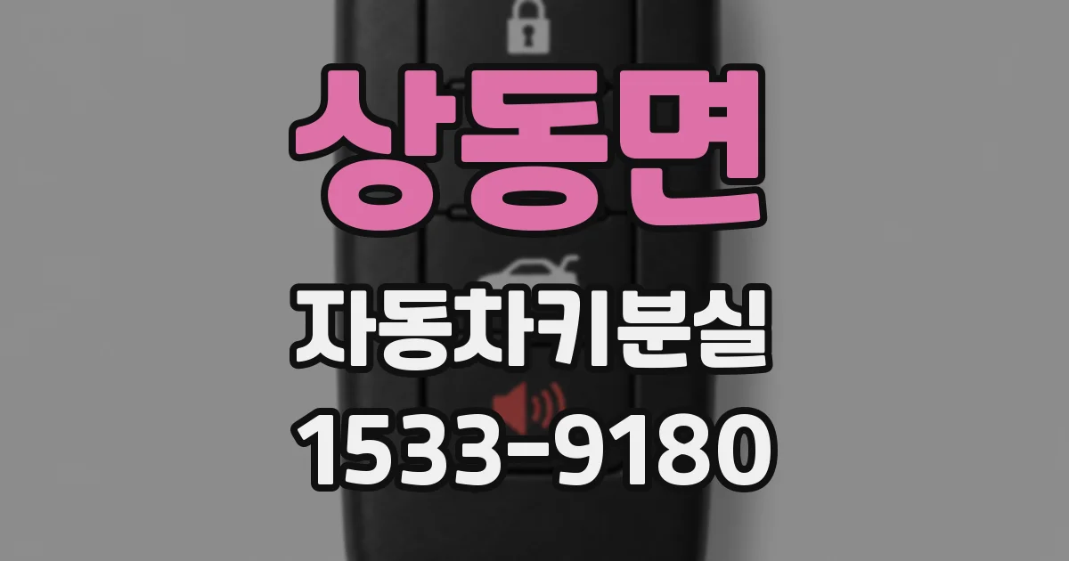 상동면 자동차키분실