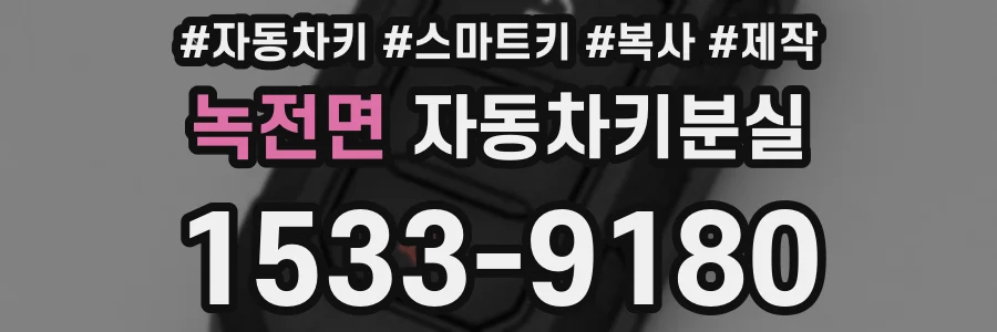 녹전면 자동차키분실