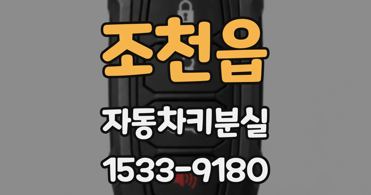 조천읍 자동차키분실