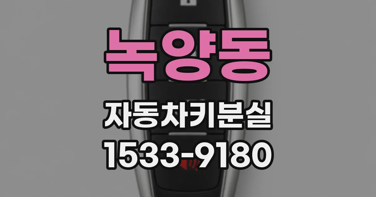 녹양동 자동차키분실