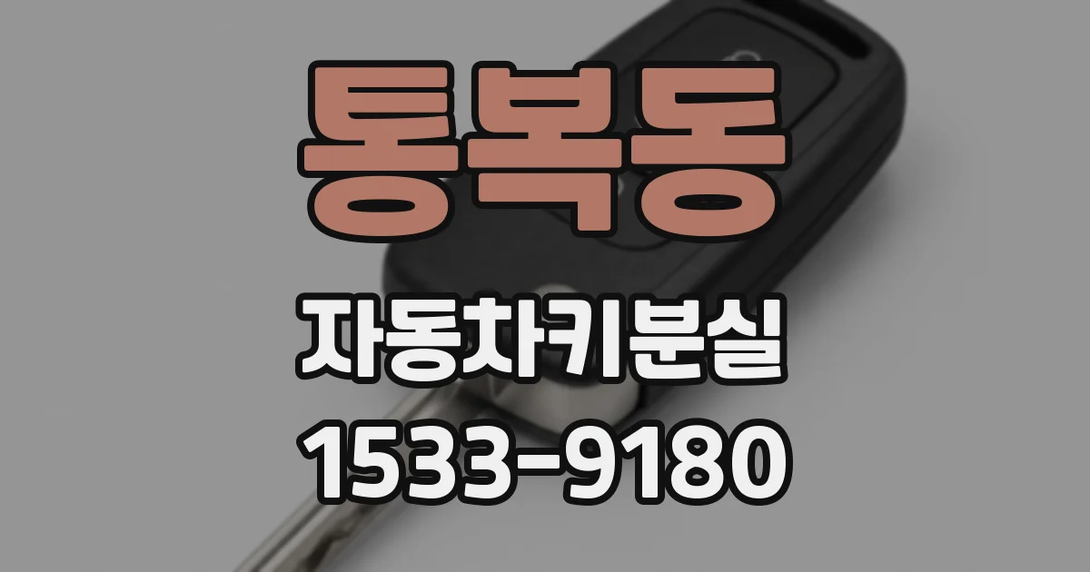 통복동 자동차키분실