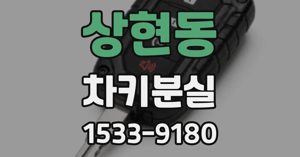 상현동 차키분실