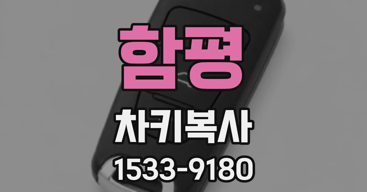 함평 차키복사