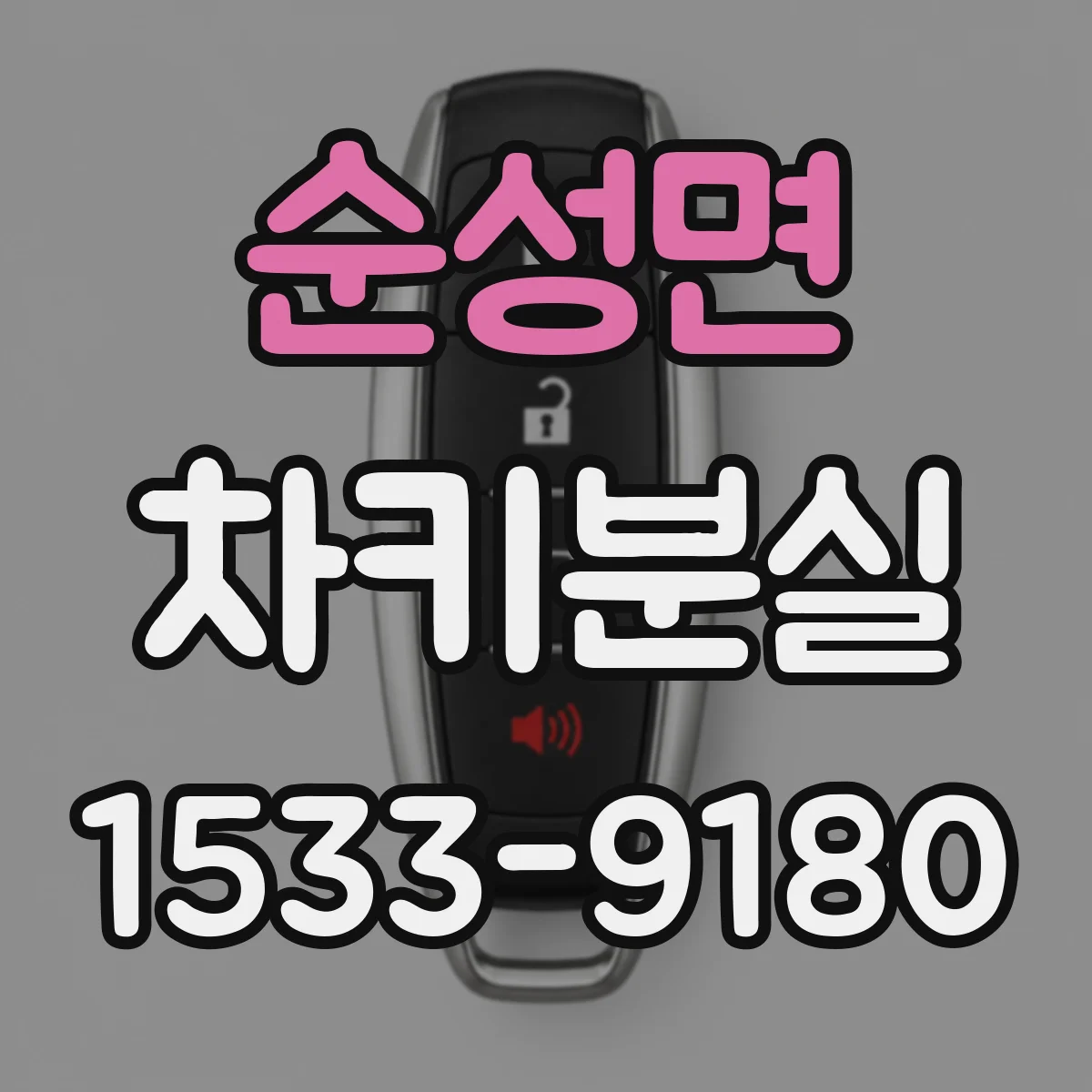 순성면 차키분실