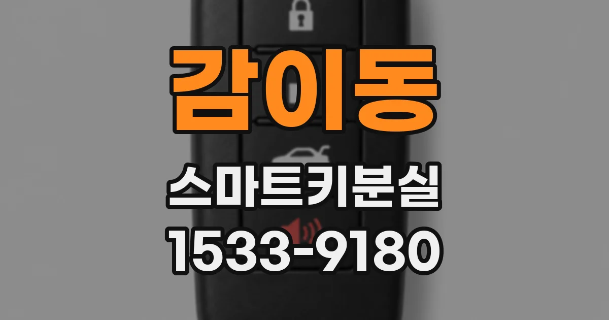 감이동 스마트키분실
