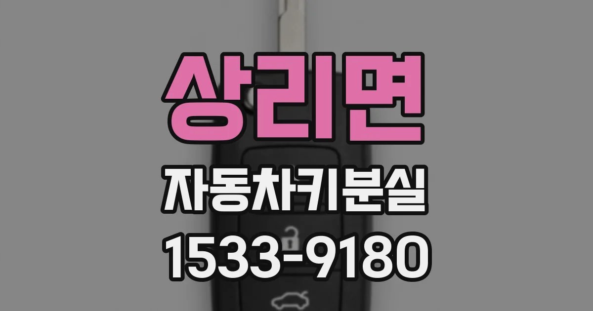 상리면 자동차키분실