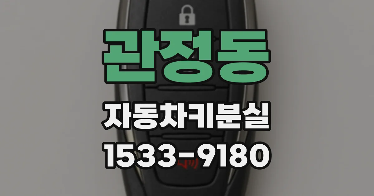 관정동 자동차키분실