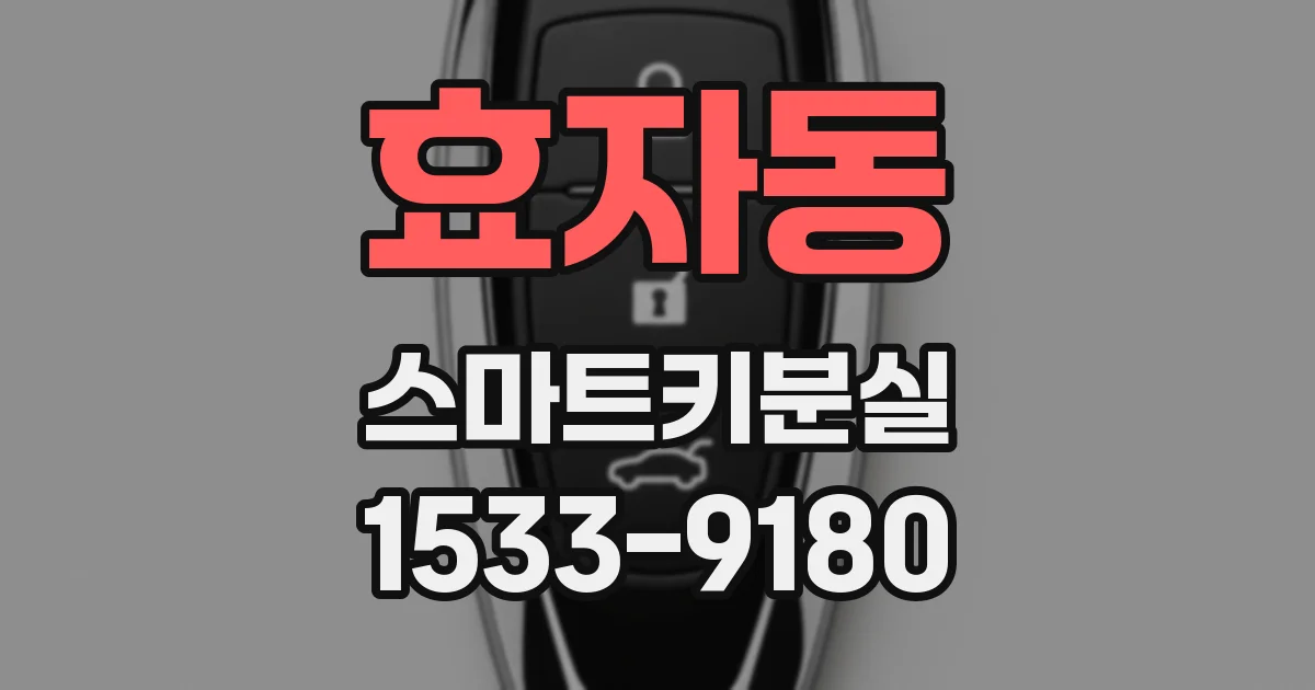 효자동 스마트키분실