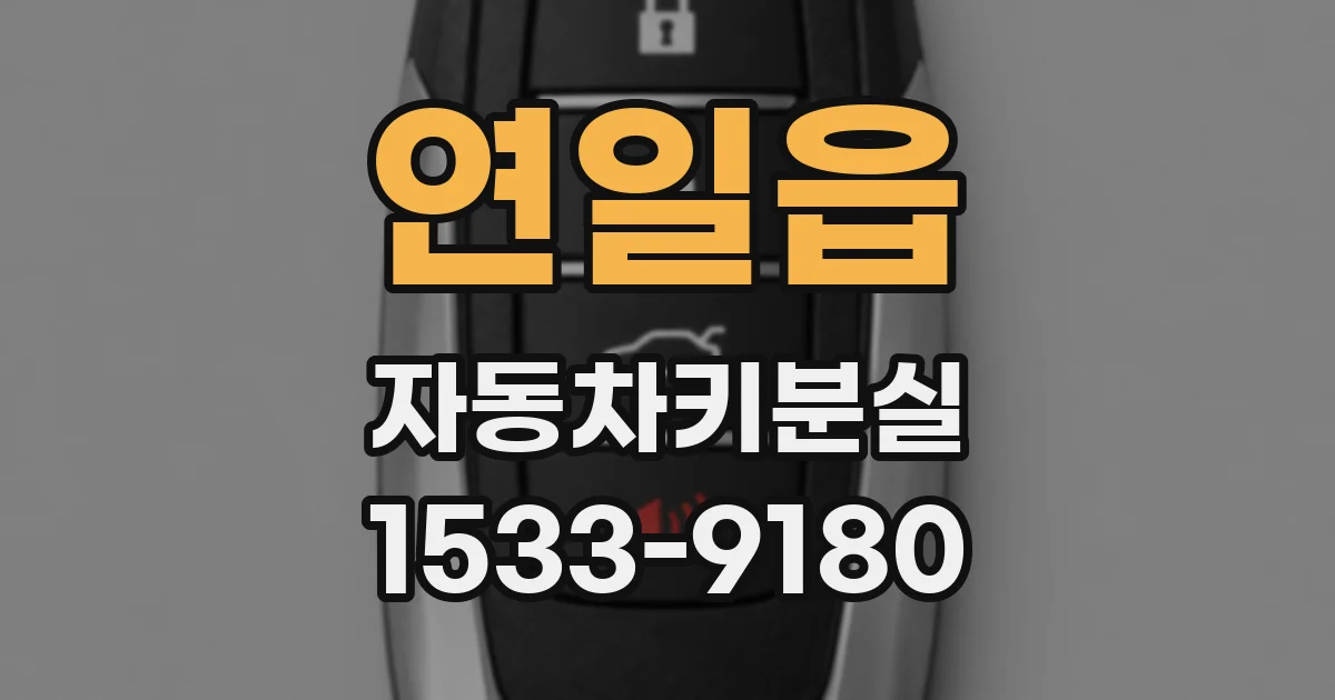 연일읍 자동차키분실