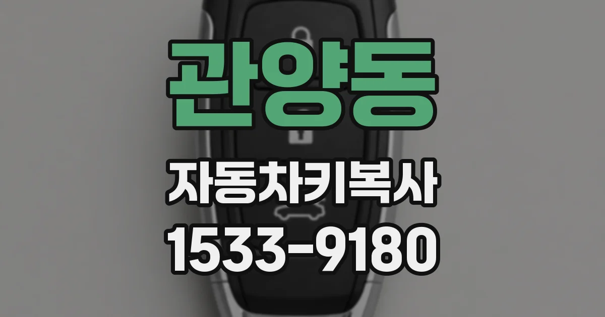 관양동 자동차키복사