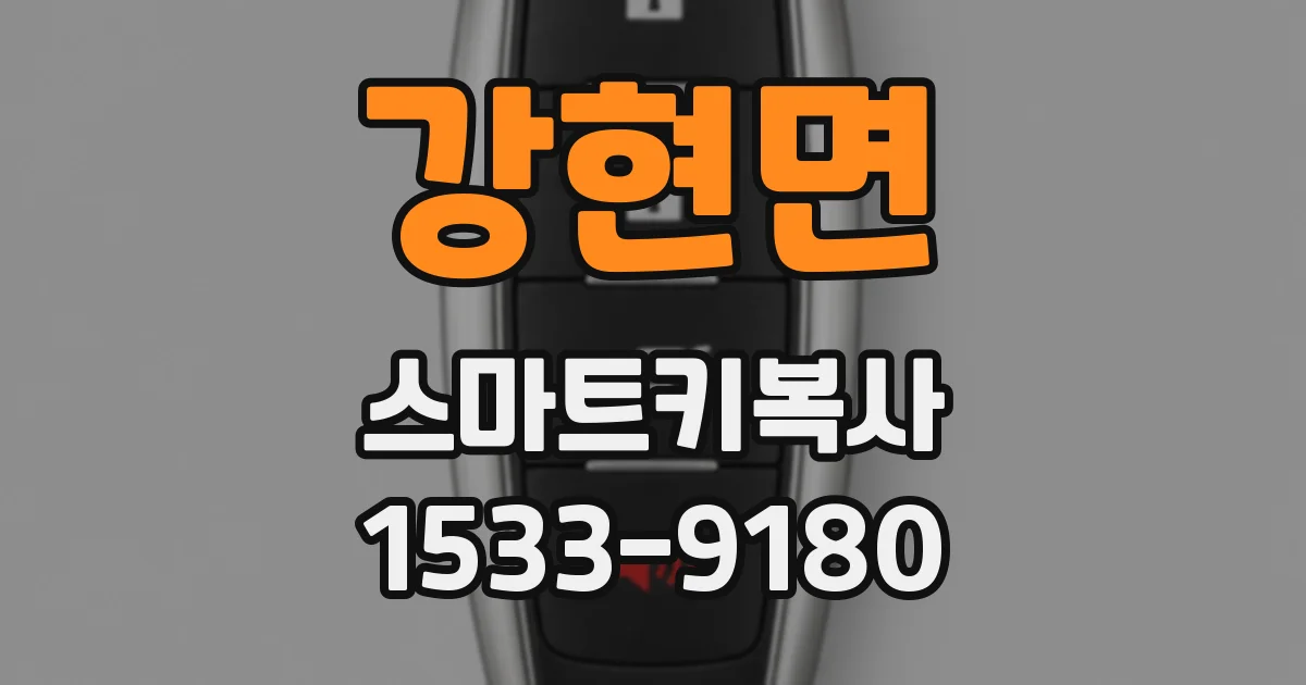 강현면 스마트키복사
