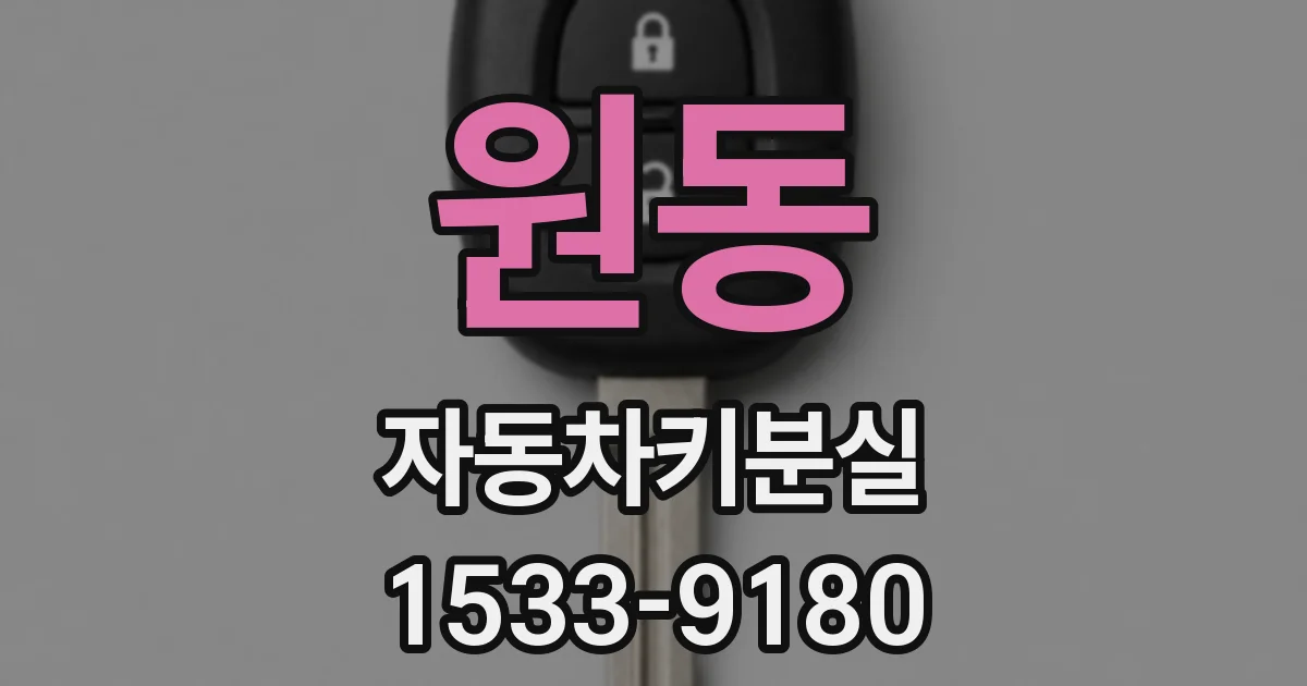 원동 자동차키분실