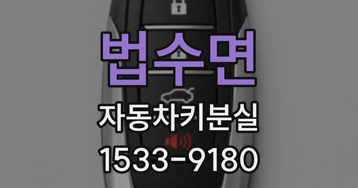 법수면 자동차키분실