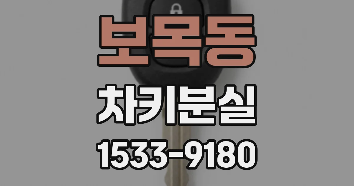 보목동 차키분실