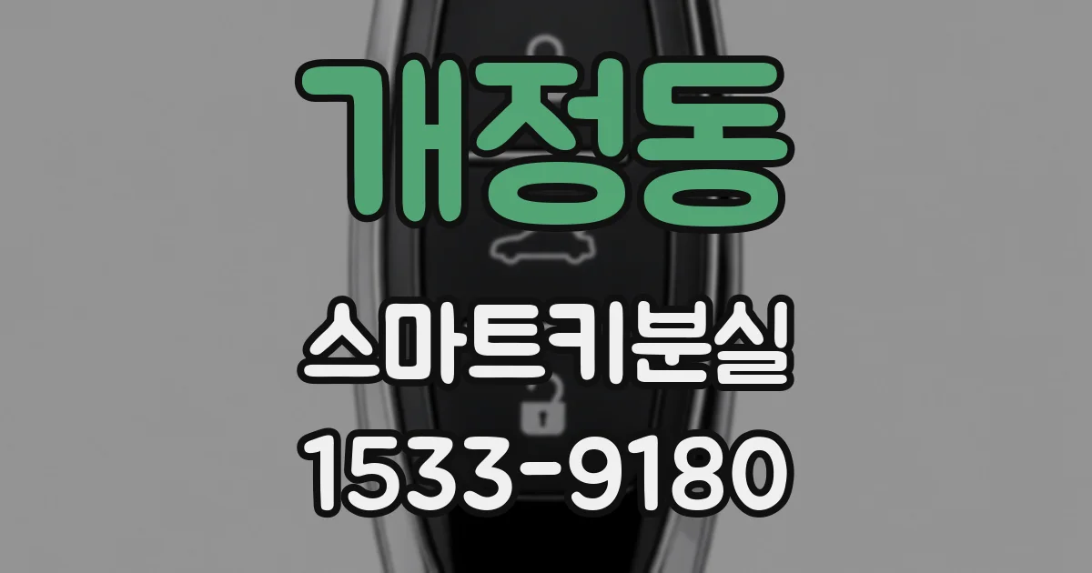 개정동 스마트키분실