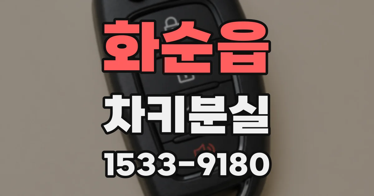 화순읍 차키분실