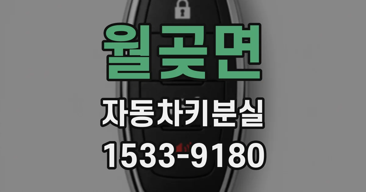 월곶면 자동차키분실