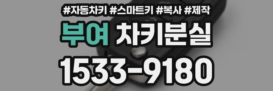 부여 차키분실