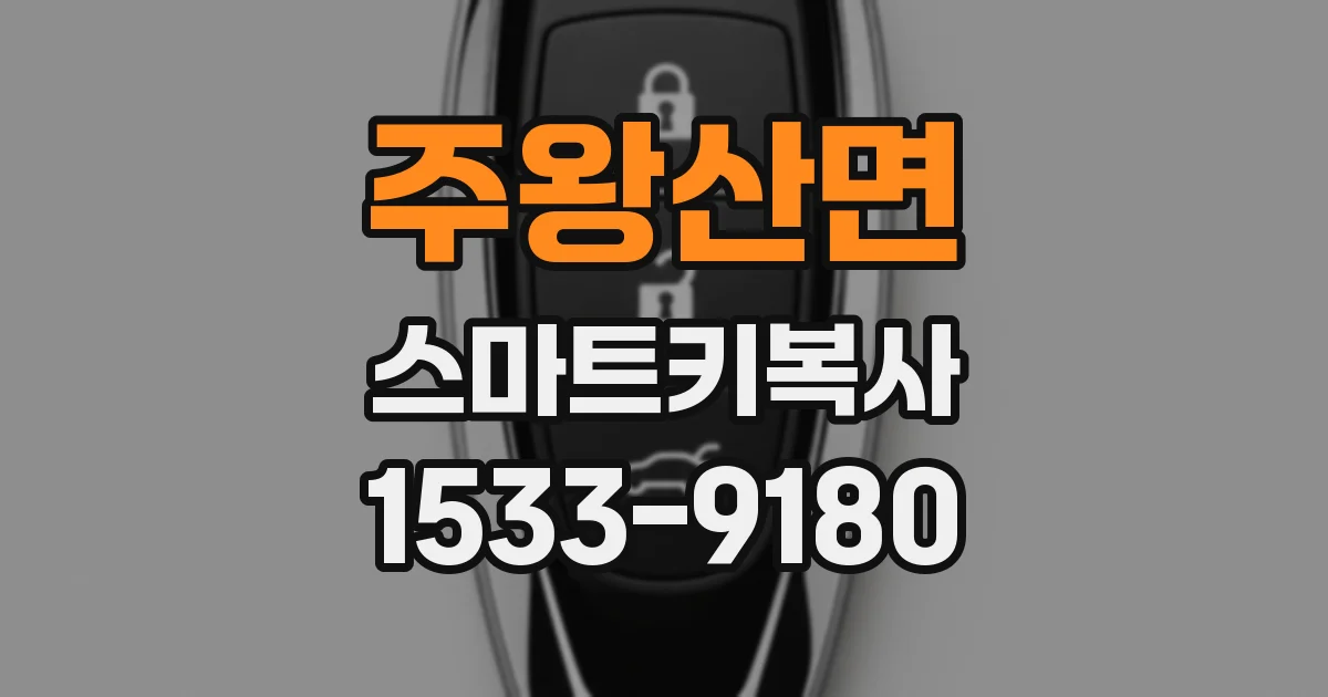 주왕산면 스마트키복사