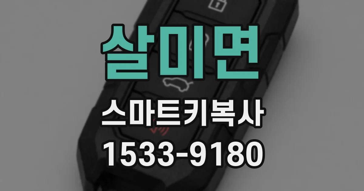 살미면 스마트키복사
