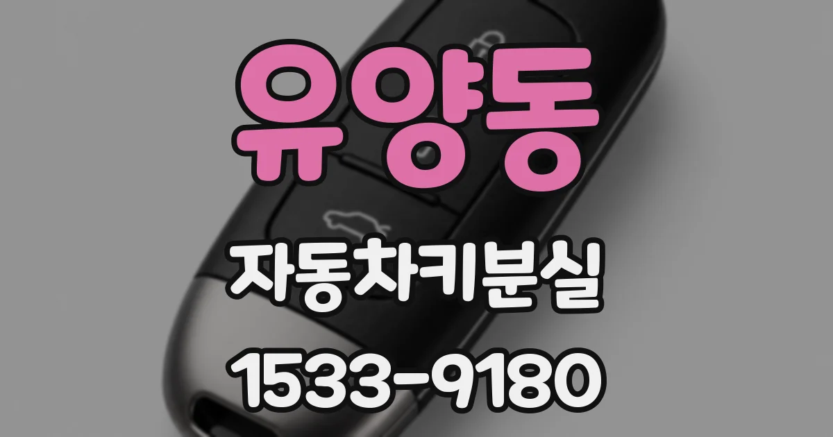 유양동 자동차키분실