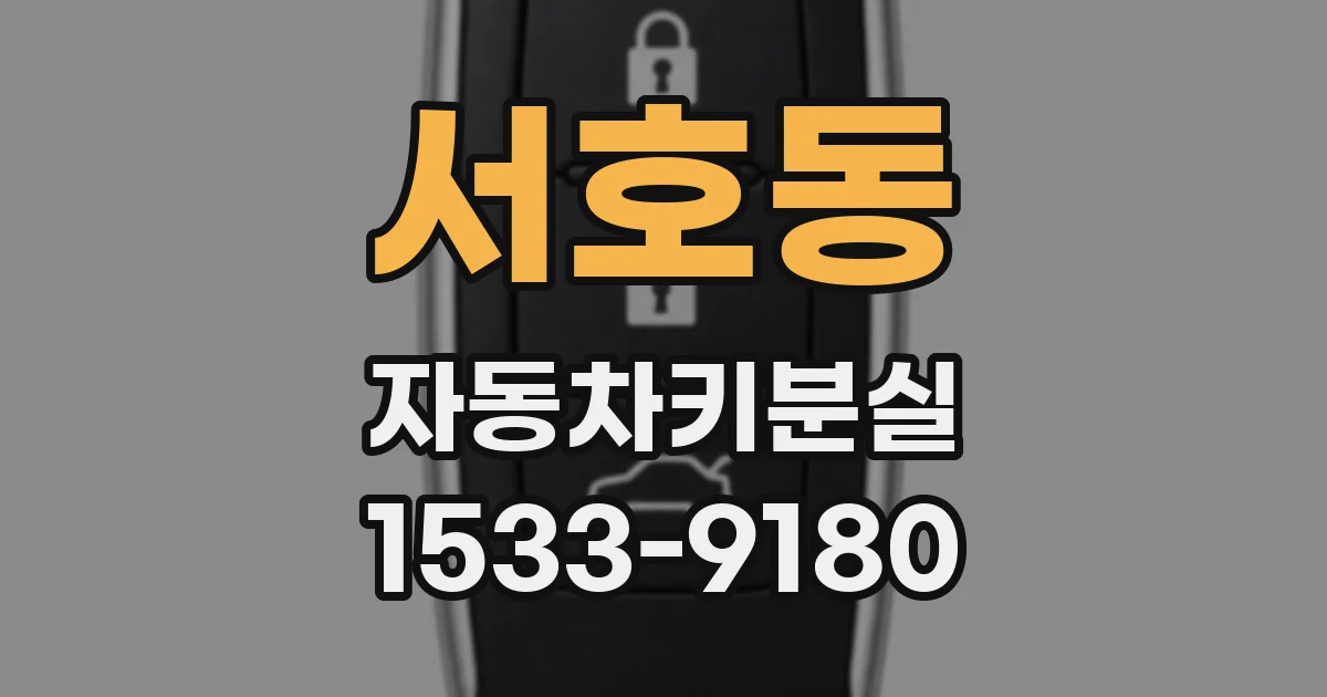 서호동 자동차키분실