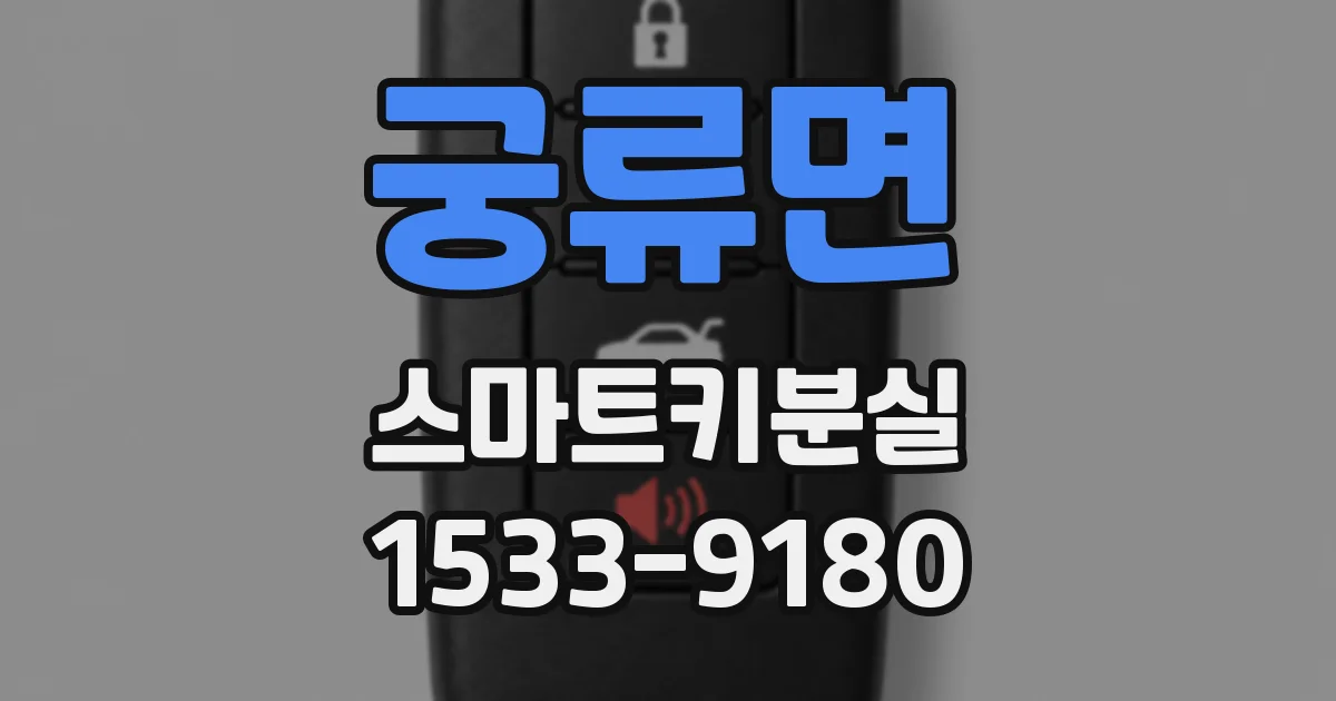 궁류면 스마트키분실