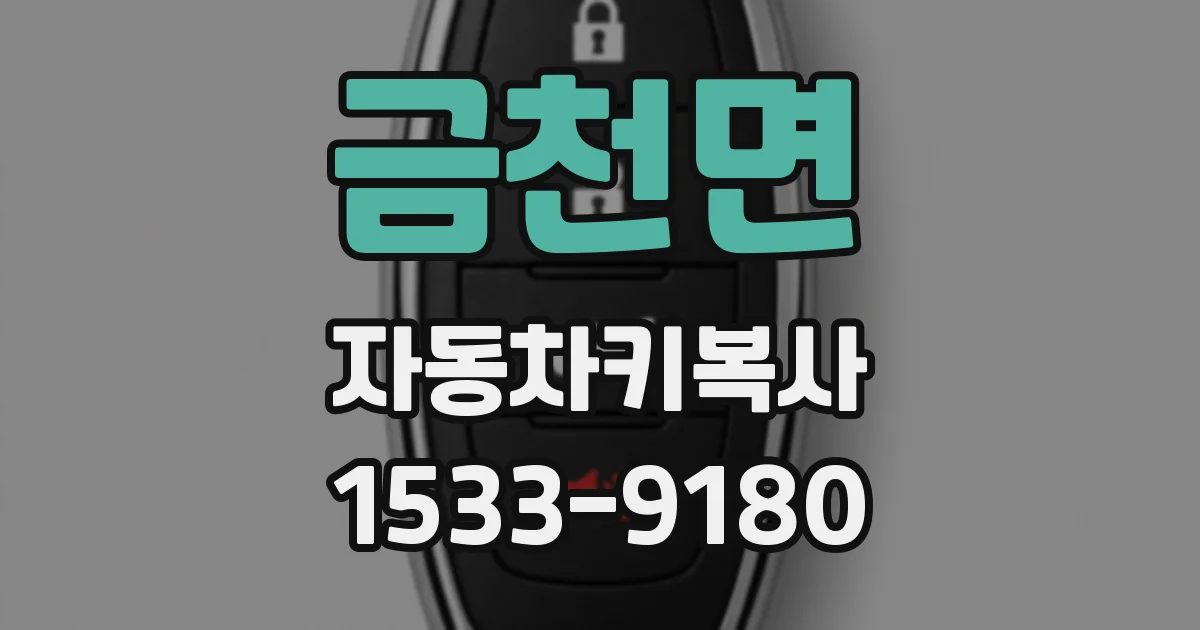 금천면 자동차키복사