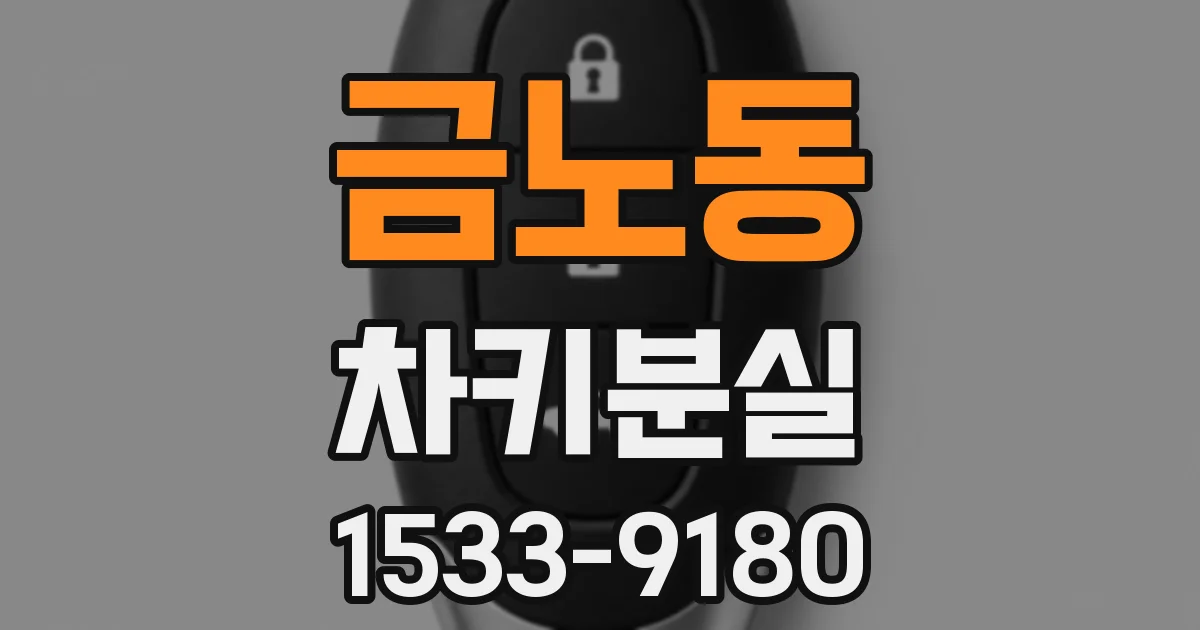 금노동 차키분실