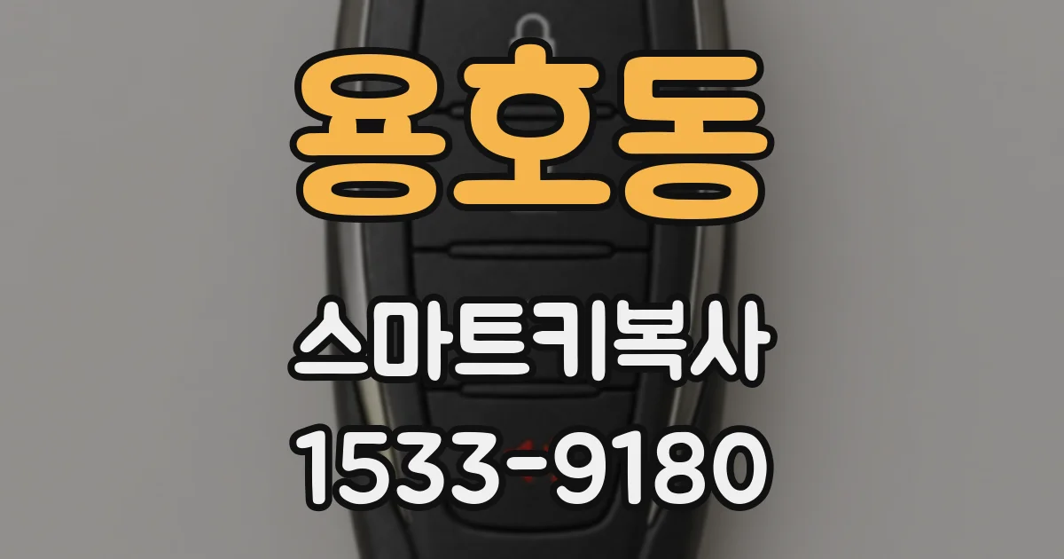 용호동 스마트키복사
