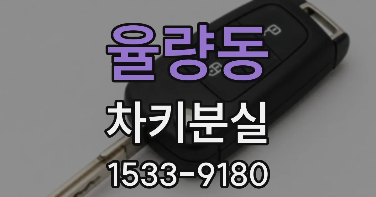 율량동 차키분실