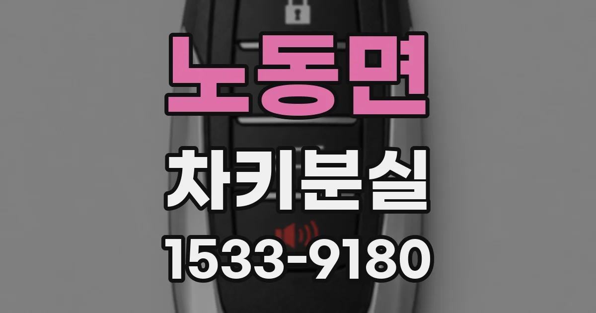 노동면 차키분실