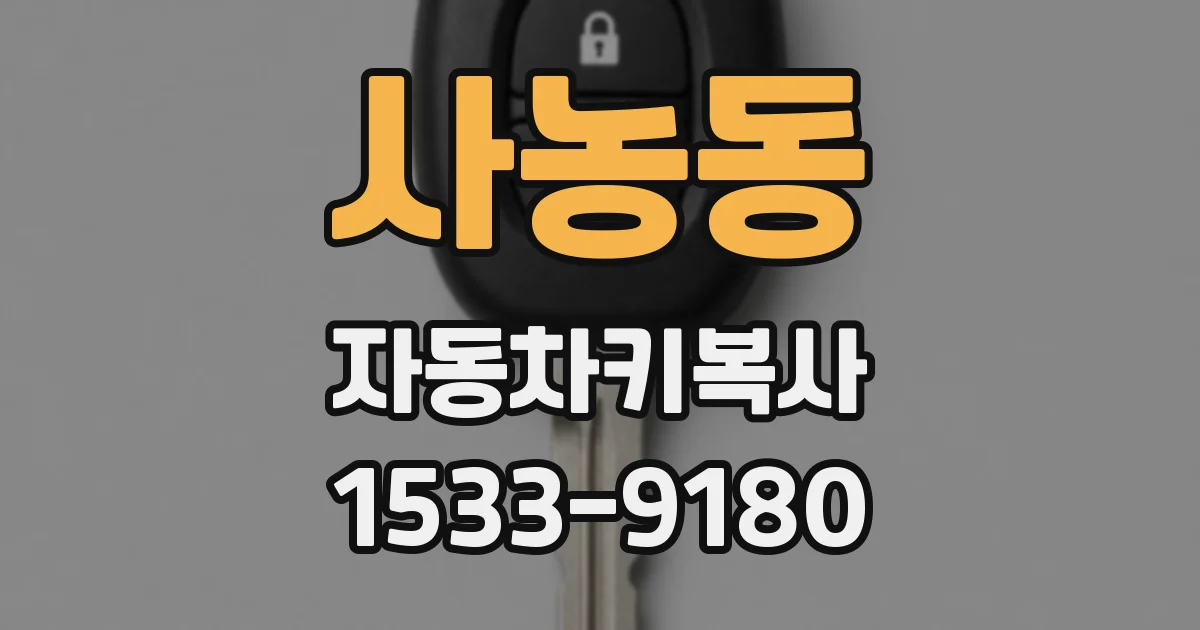 사농동 자동차키복사