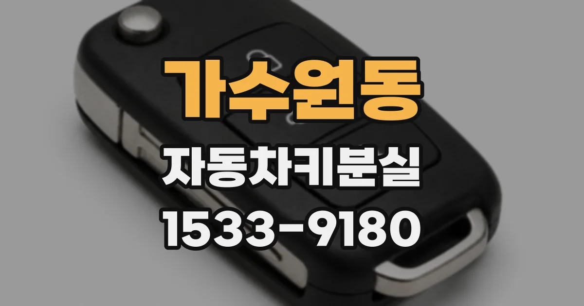 가수원동 자동차키분실