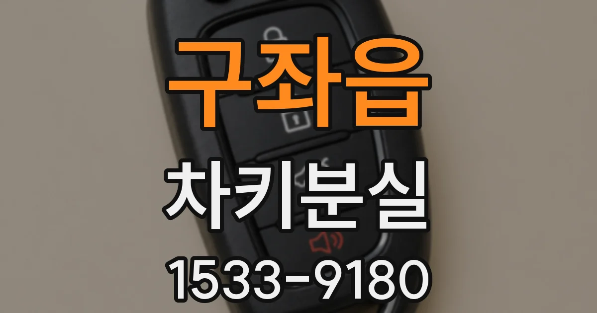 구좌읍 차키분실