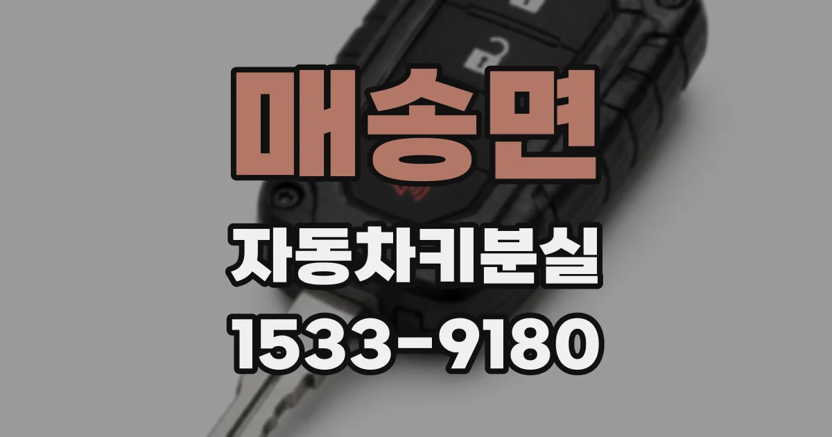 매송면 자동차키분실