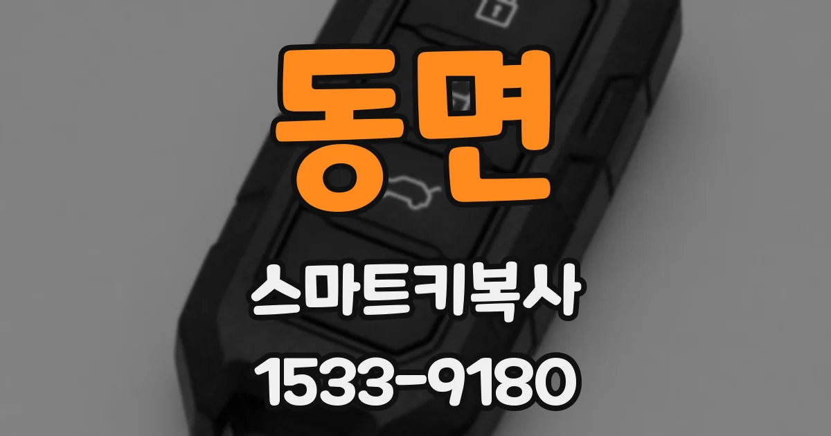 동면 스마트키복사