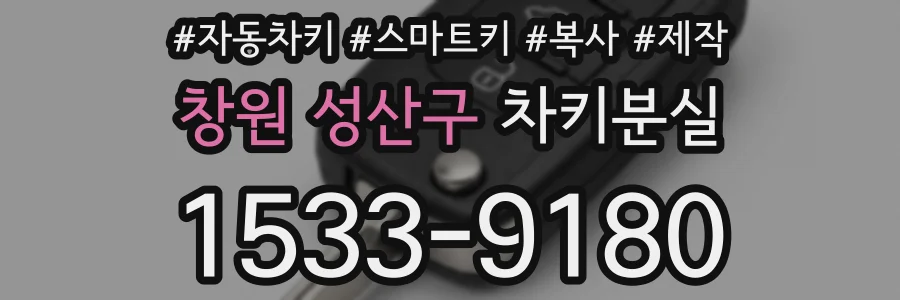 창원 성산구 차키분실