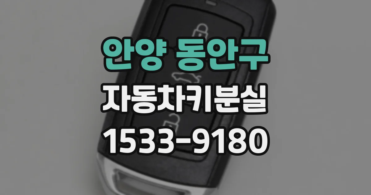 안양 동안구 자동차키분실