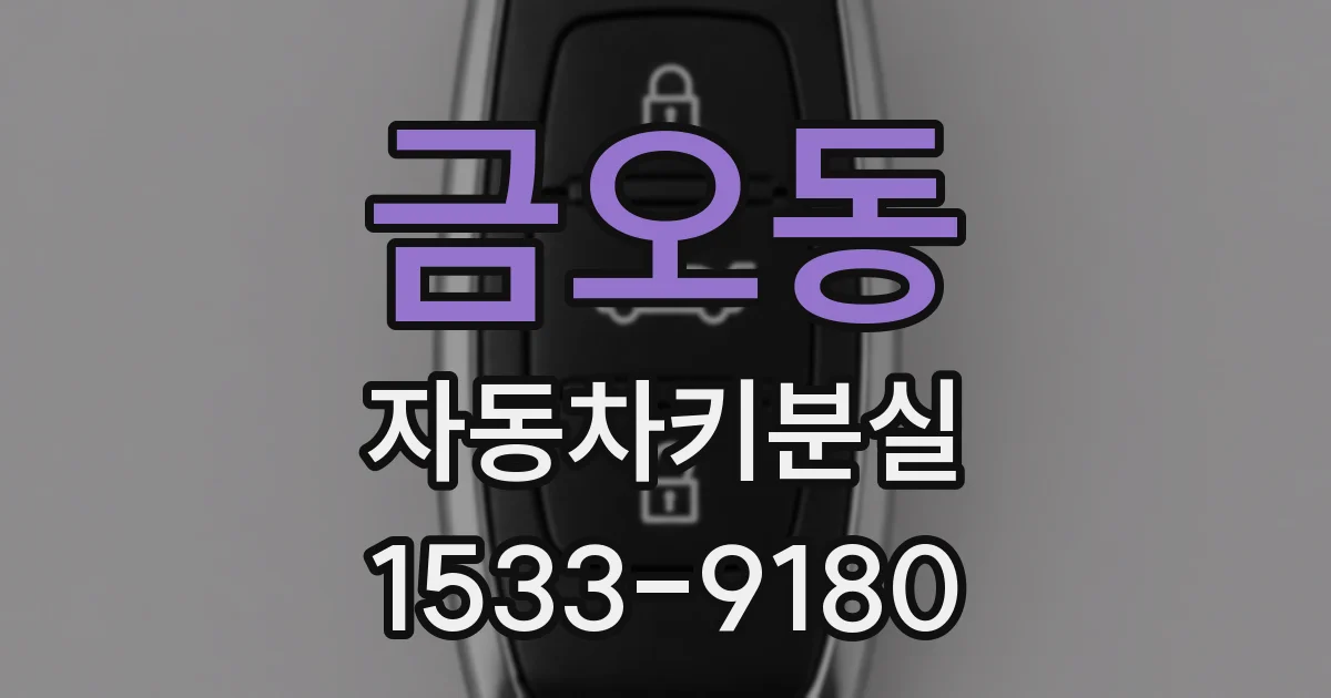 금오동 자동차키분실