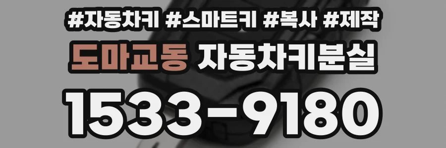 도마교동 자동차키분실