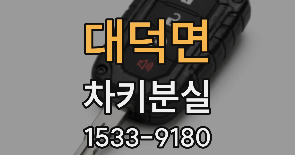 대덕면 차키분실