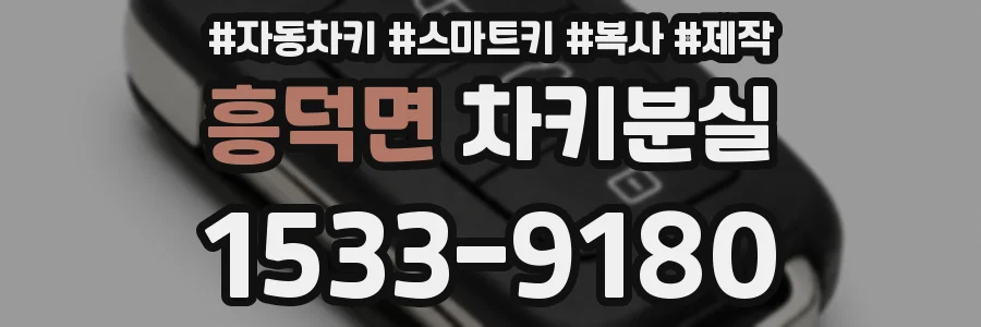 흥덕면 차키분실